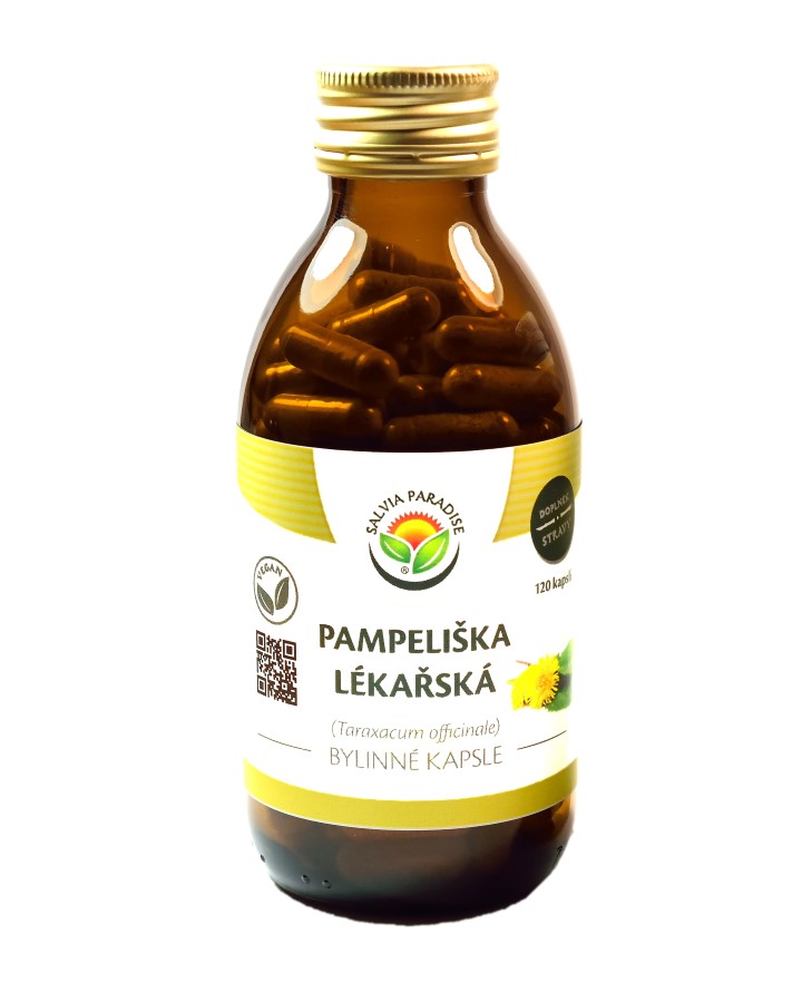 SALVIA PARADISE Pampeliška lékařská 120 kapslí