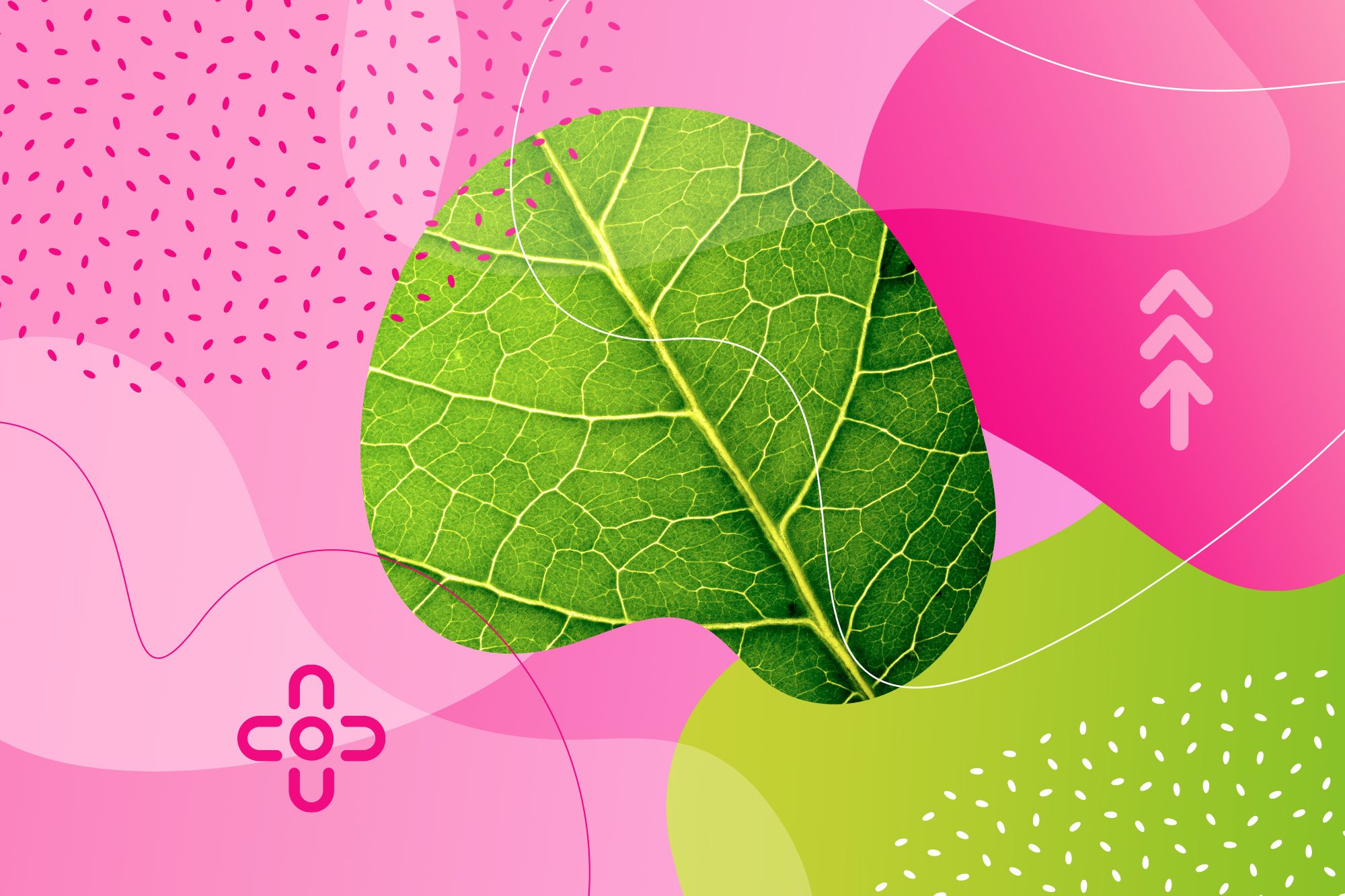 Tejpování lopatky: co byste měli vědět