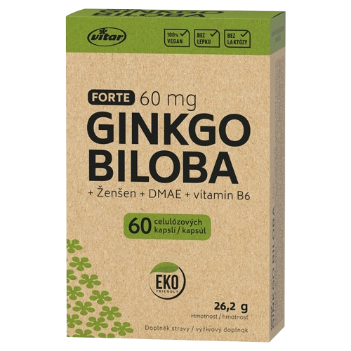 Ginkgo biloba 60mg, DMAE, Vitamín B6