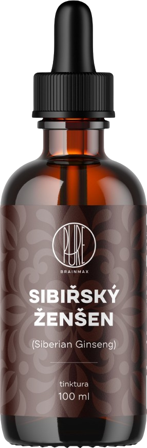 Sibiřský ženšen