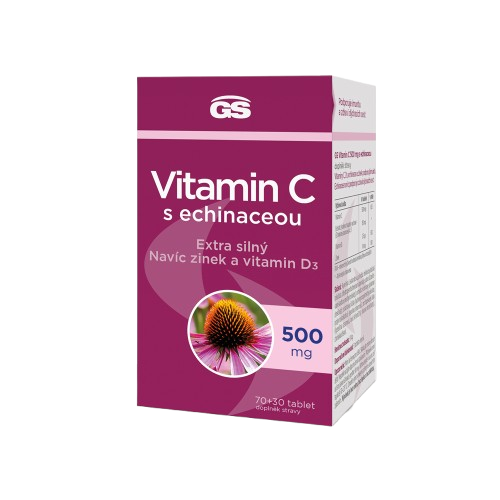 GS Vitamin C s echinaceou 100 tablet