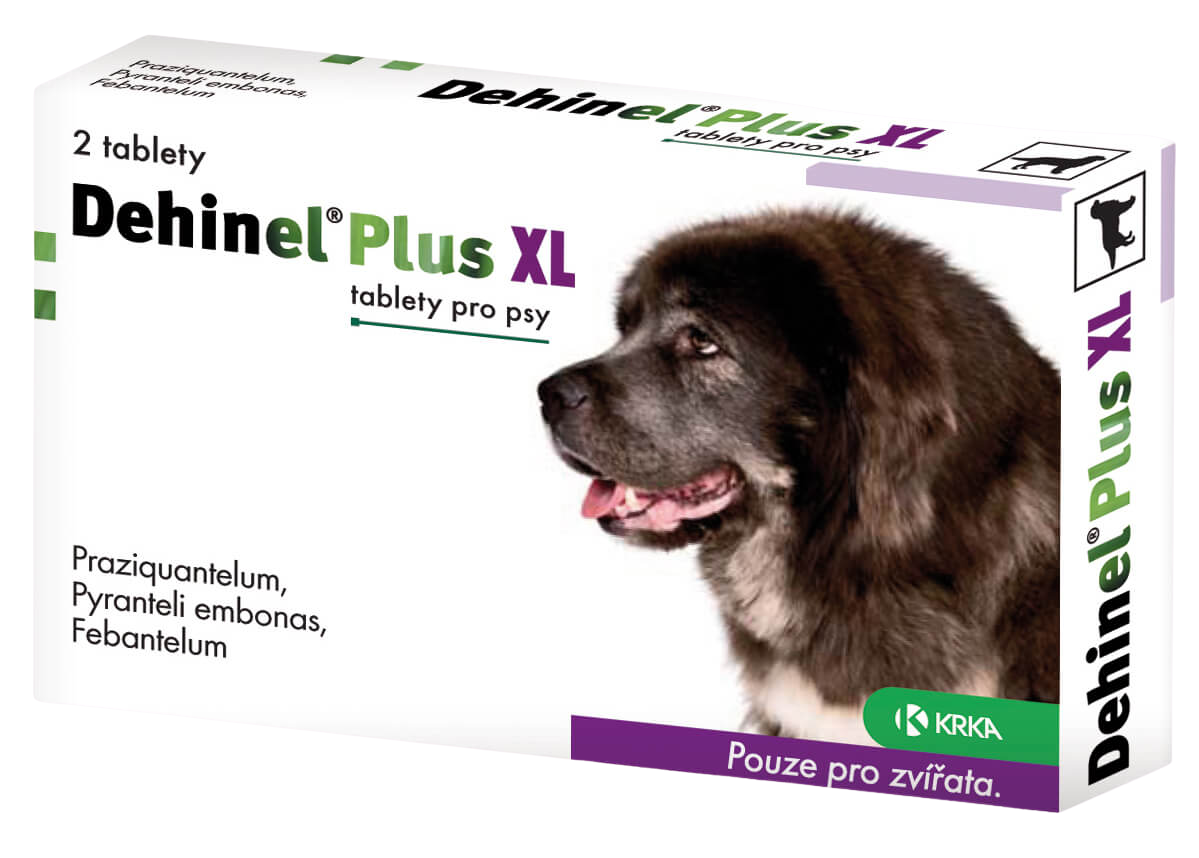 Dehinel Plus XL pro psy 2 tablet