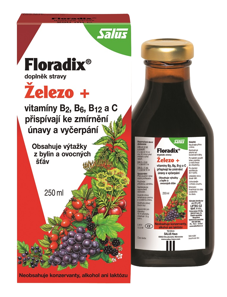 SALUS Floradix Železo+ 250 ml