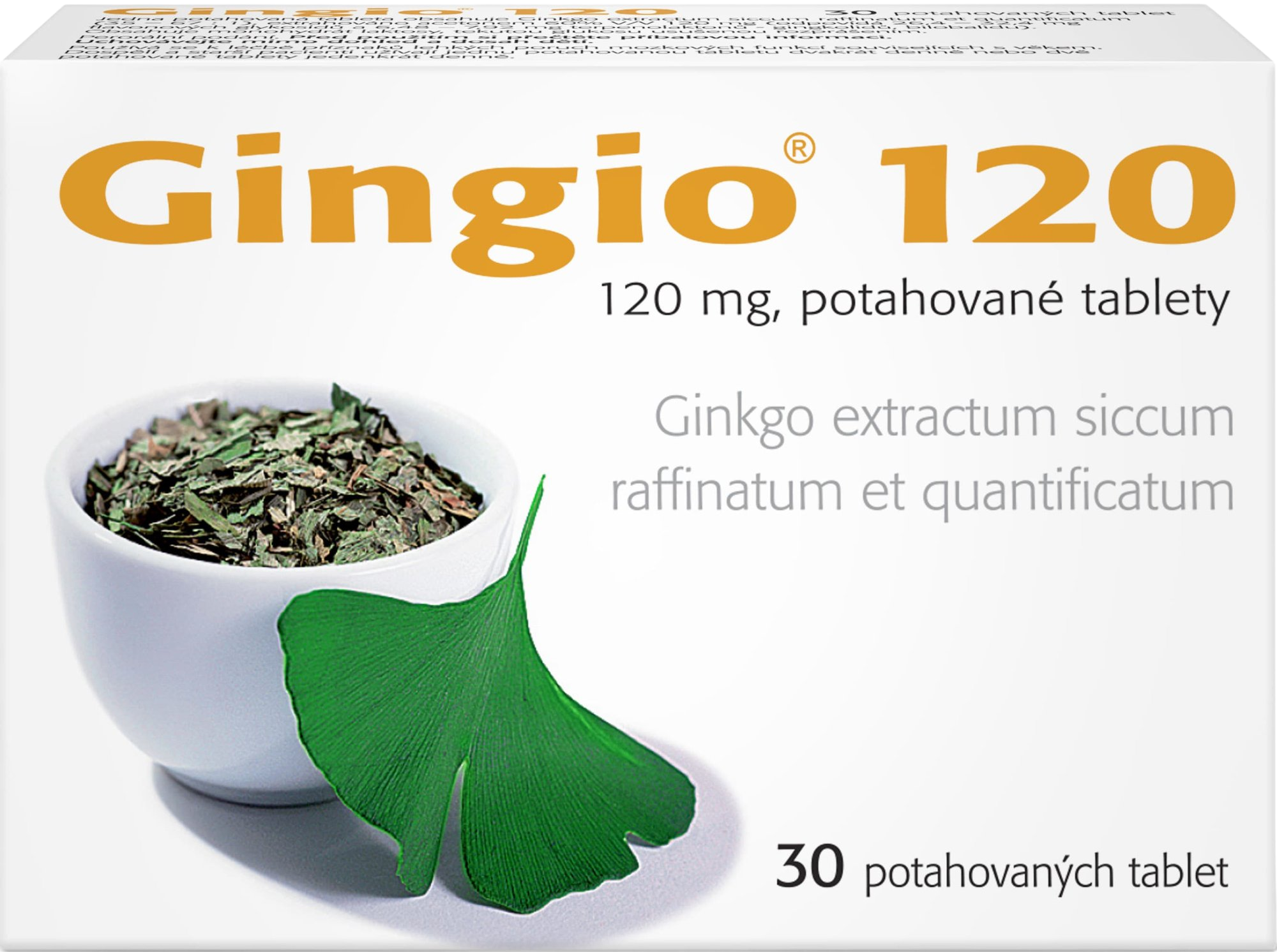 Fotografie Gingio 120 mg, 30 tablet