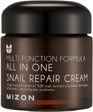 MIZON All In One Snail Repair, Krém na vrásky a problematickou pleť 75 ml
