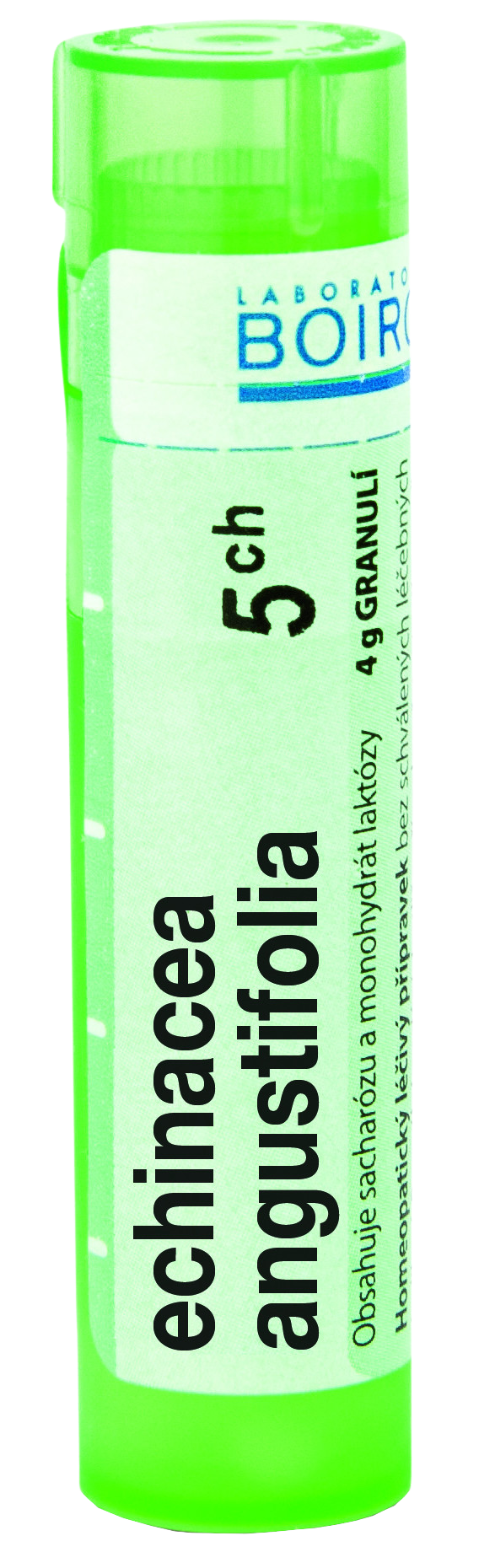 BOIRON Echinacea angustifolia CH5 4 g kúpite na Pilulka.sk