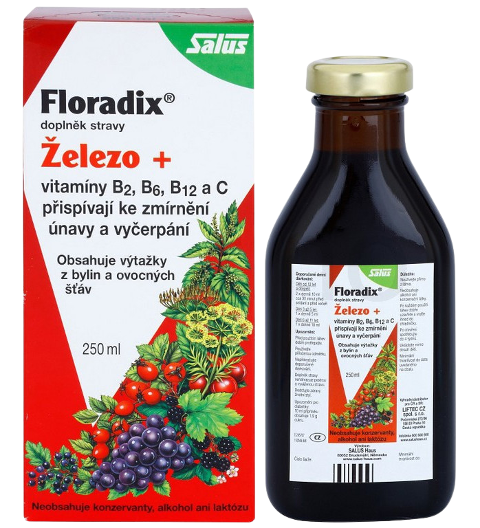 SALUS Floradix 250 ml kúpite na Pilulka.sk