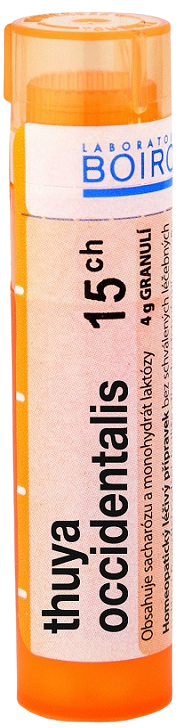BOIRON Thuya occidentalis CH15 4 g kúpite na Pilulka.sk