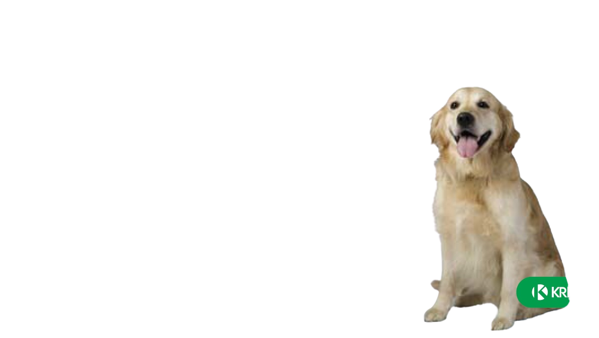 Fypryst Psy 20-40 kg Roztok na kvapkanie na kožu pre psov 1 ks