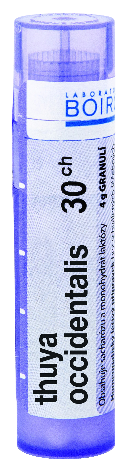 BOIRON Thuya occidentalis CH30 4 g kúpite na Pilulka.sk