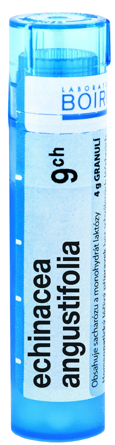 BOIRON Echinacea Angustifolia CH9 granule 4 g kúpite na Pilulka.sk