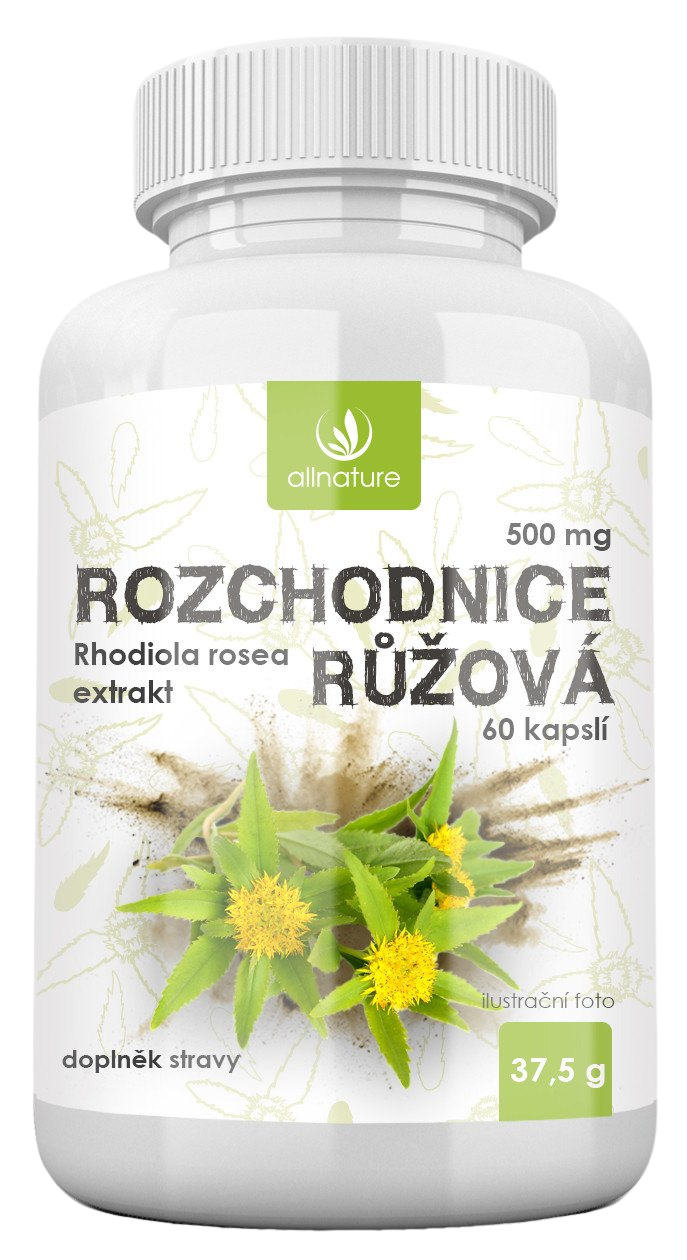 Allnature Rozchodnice růžová 500 mg Potravinový doplnok na podporu nervového systému a odolnosť voči stresu 60 cps