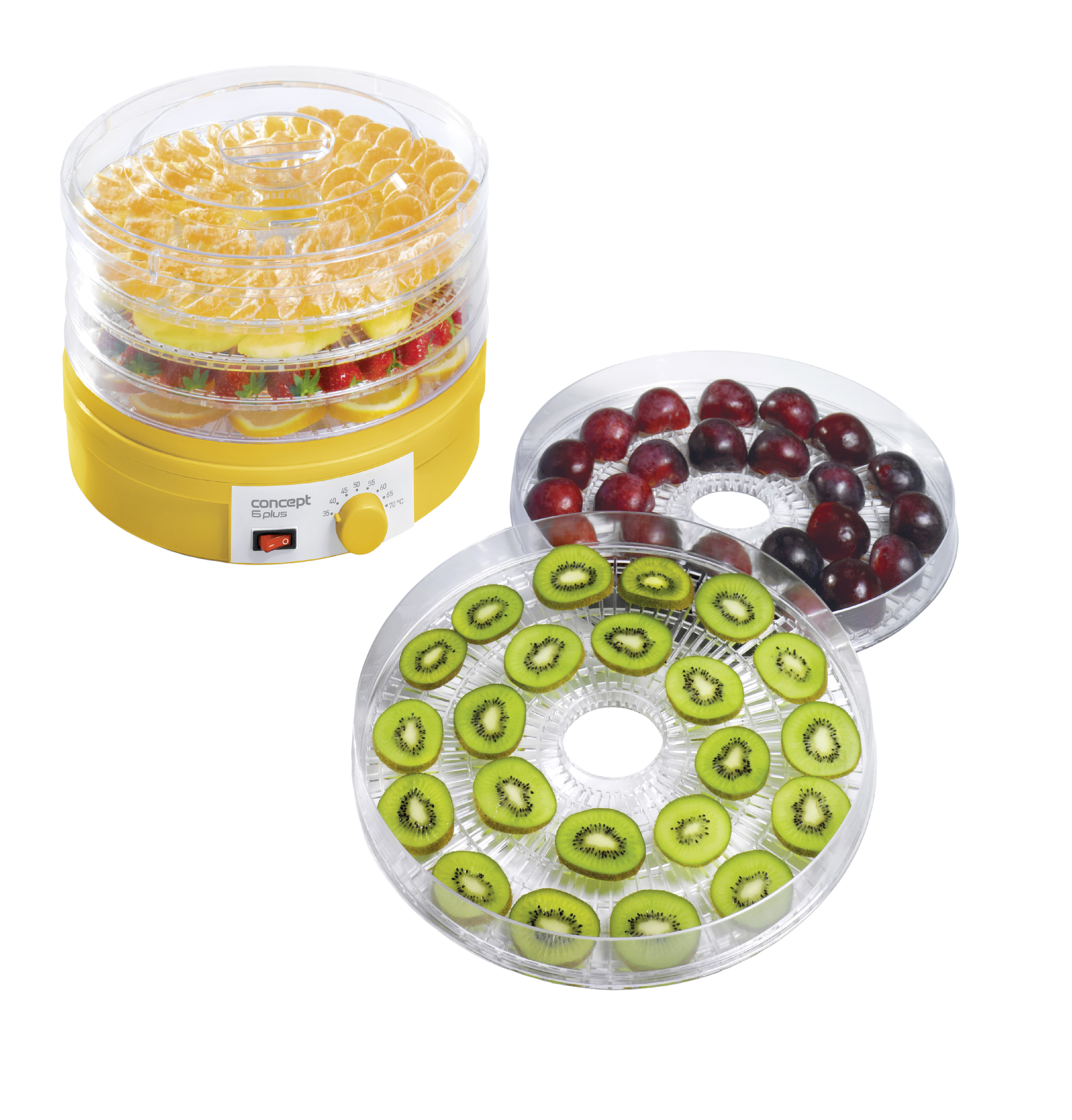 CONCEPT Sušička ovocia 6 plus SO1015