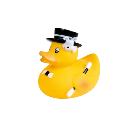 CANPOL BABIES Pískacia kačička do vody