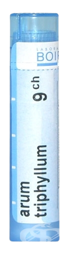 BOIRON Arum Triphyllum CH9 granule 4 g kúpite na Pilulka.sk