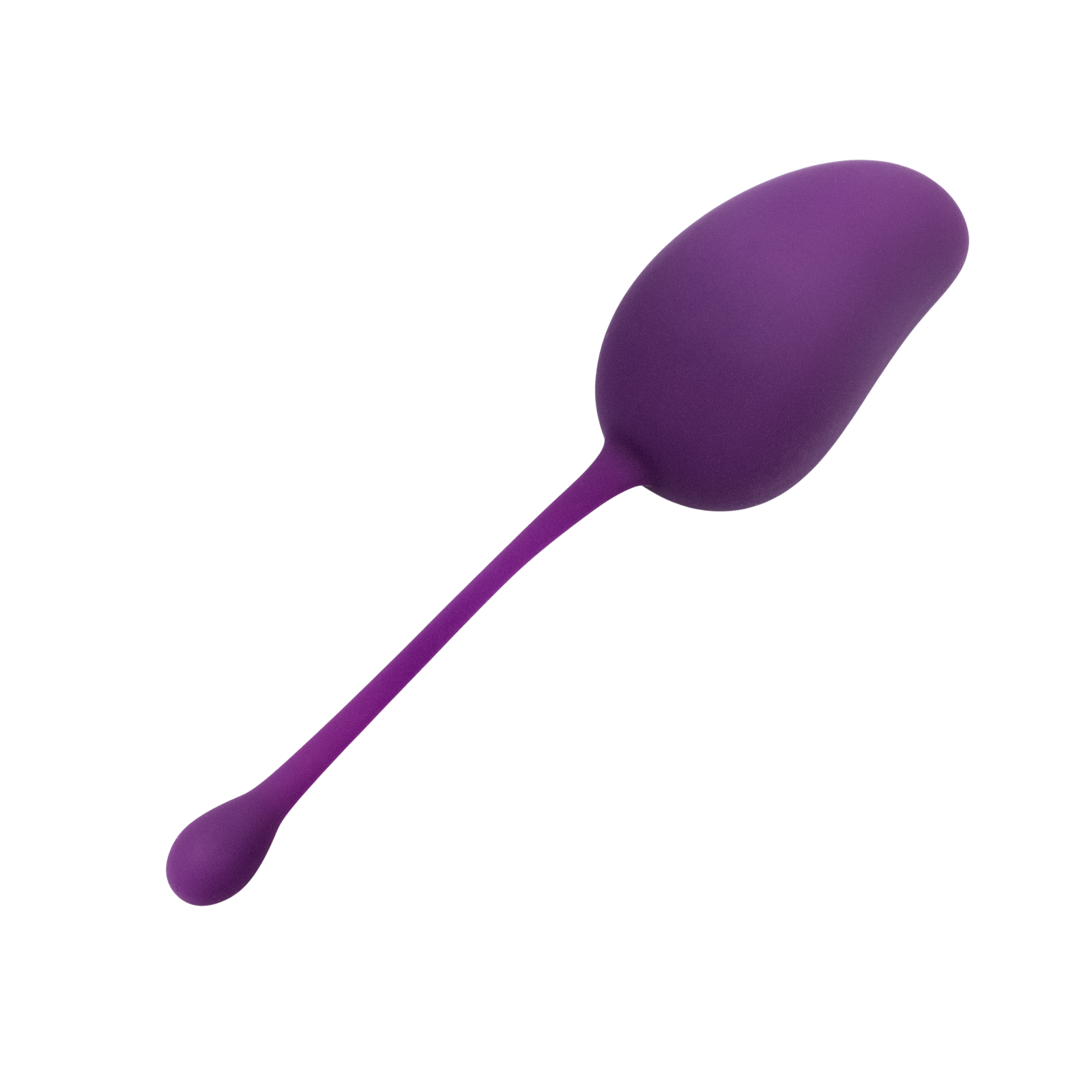 Lady Dreams Tréninková kulička Gym Ball fialová