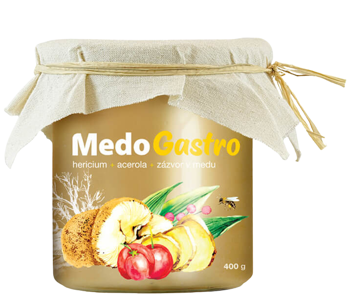 MYCOMEDICA MedoGastro 400 g