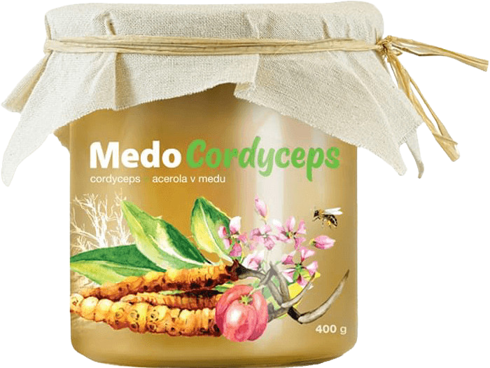 MYCOMEDICA MedoCordyceps 400 g