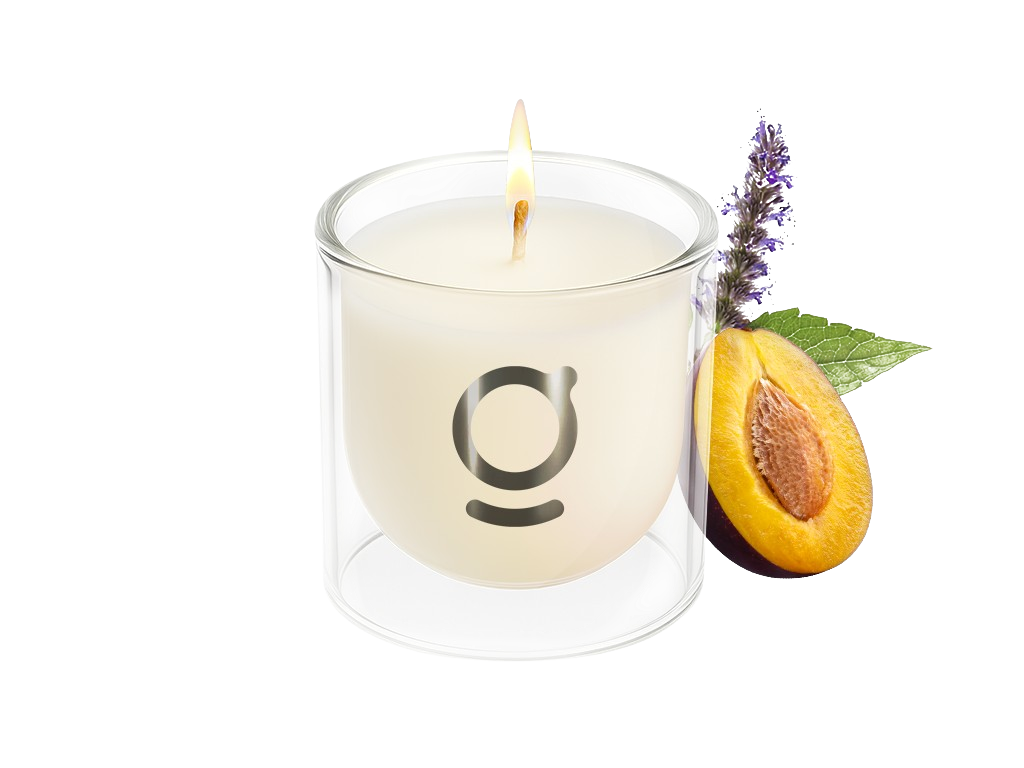 GODA Sójová svíčka Grud švestka & pačule 200 g