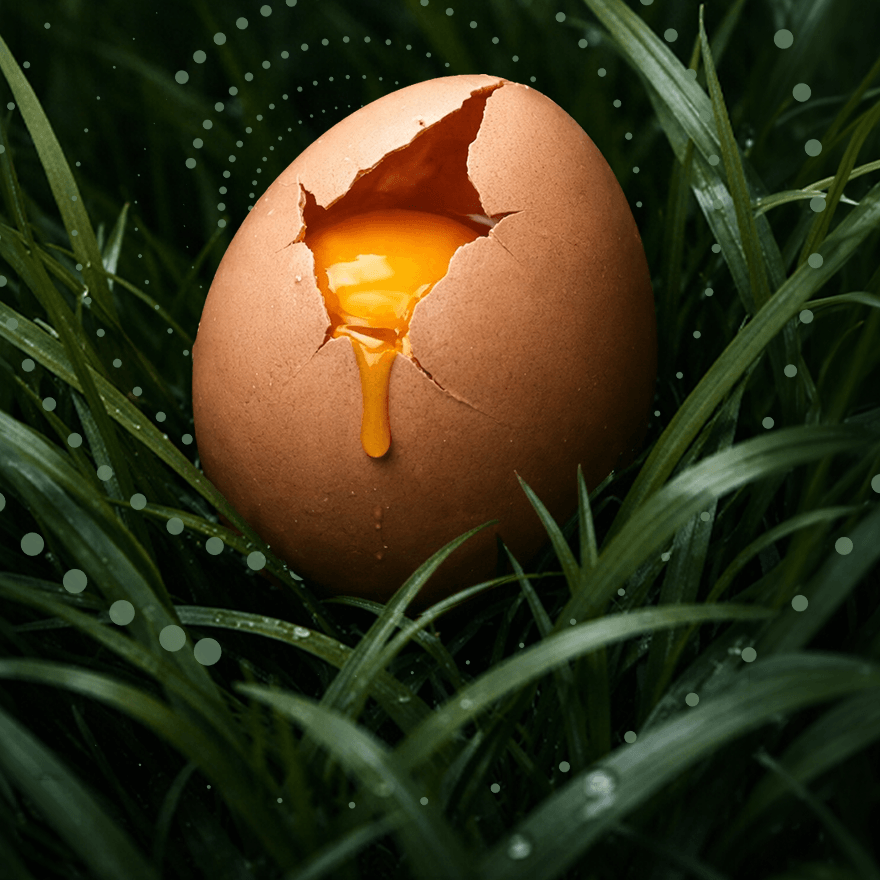 Pri nákupe nad 80 € získate späť 15 €