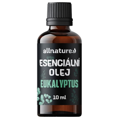 Eukalyptus