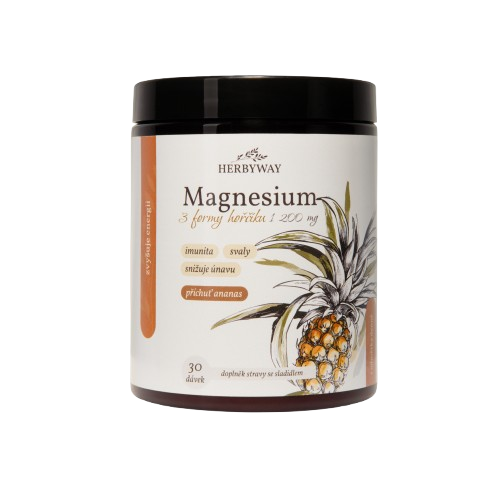 HERBYWAY Magnesium 3 formy hořčíku 1 200 mg, příchuť ananas