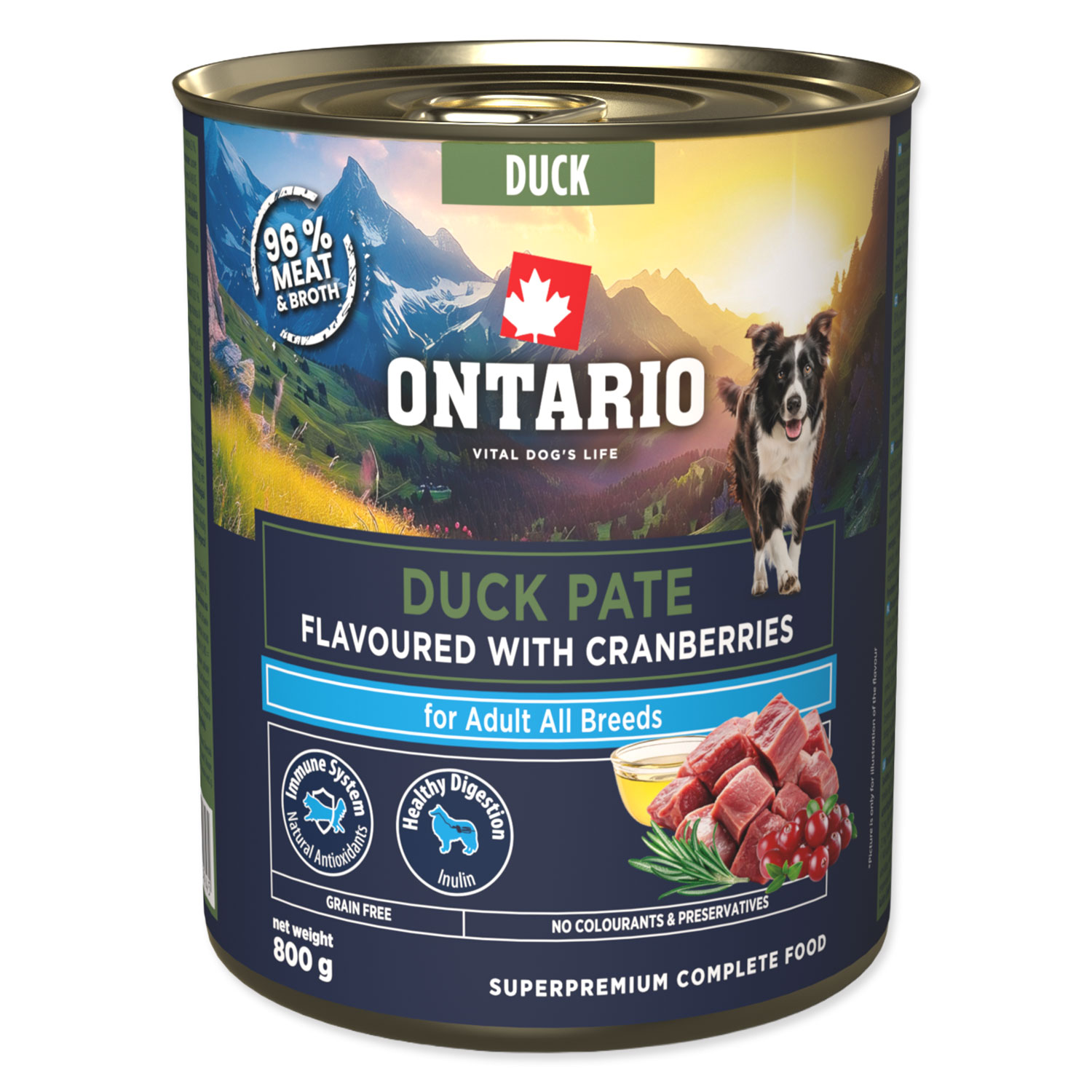 Fotografie ONTARIO Konzerva Adult kachní pate s příchutí brusinek 800 g