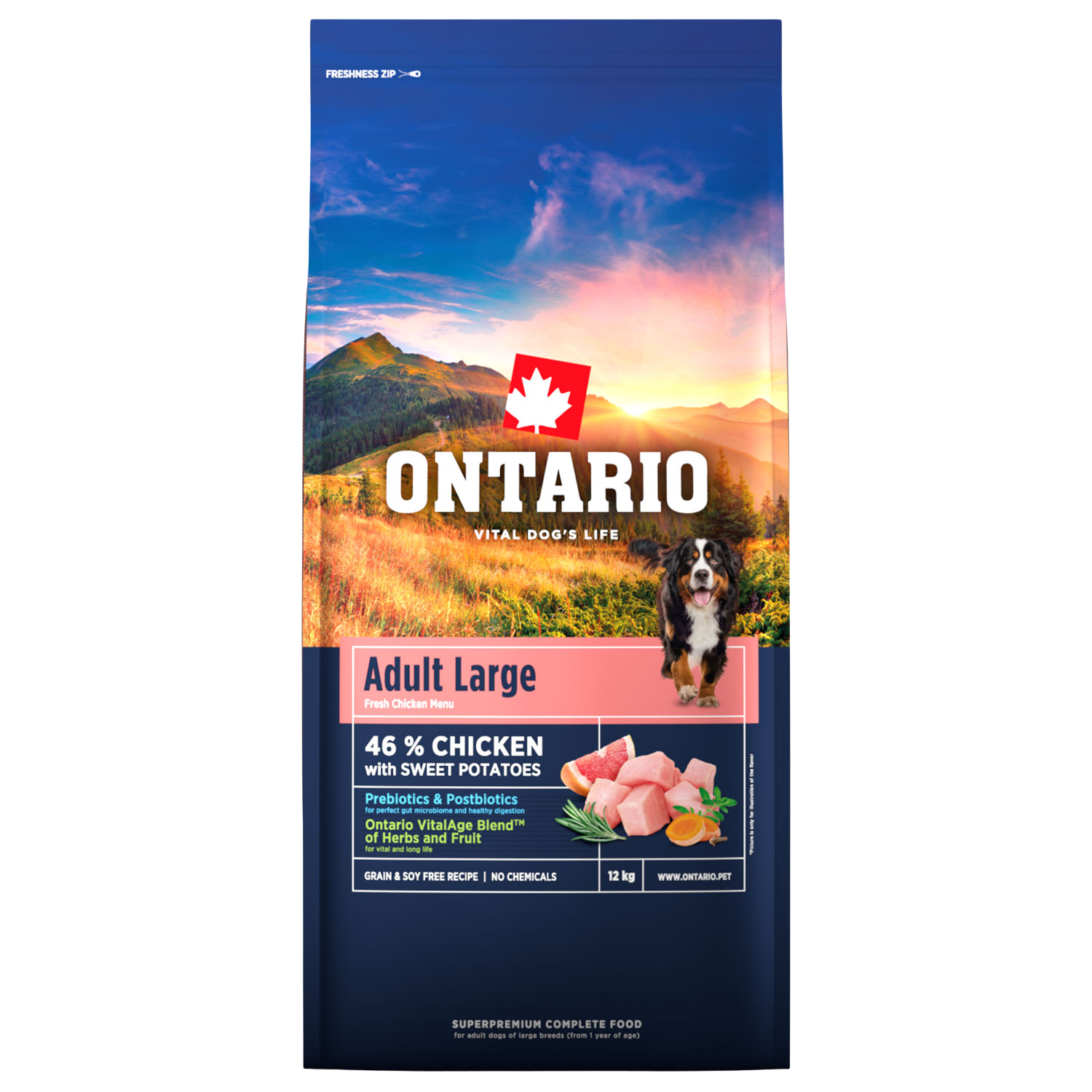 Fotografie ONTARIO Krmivo Adult Large Chicken & Sweet Potatoes 12 kg