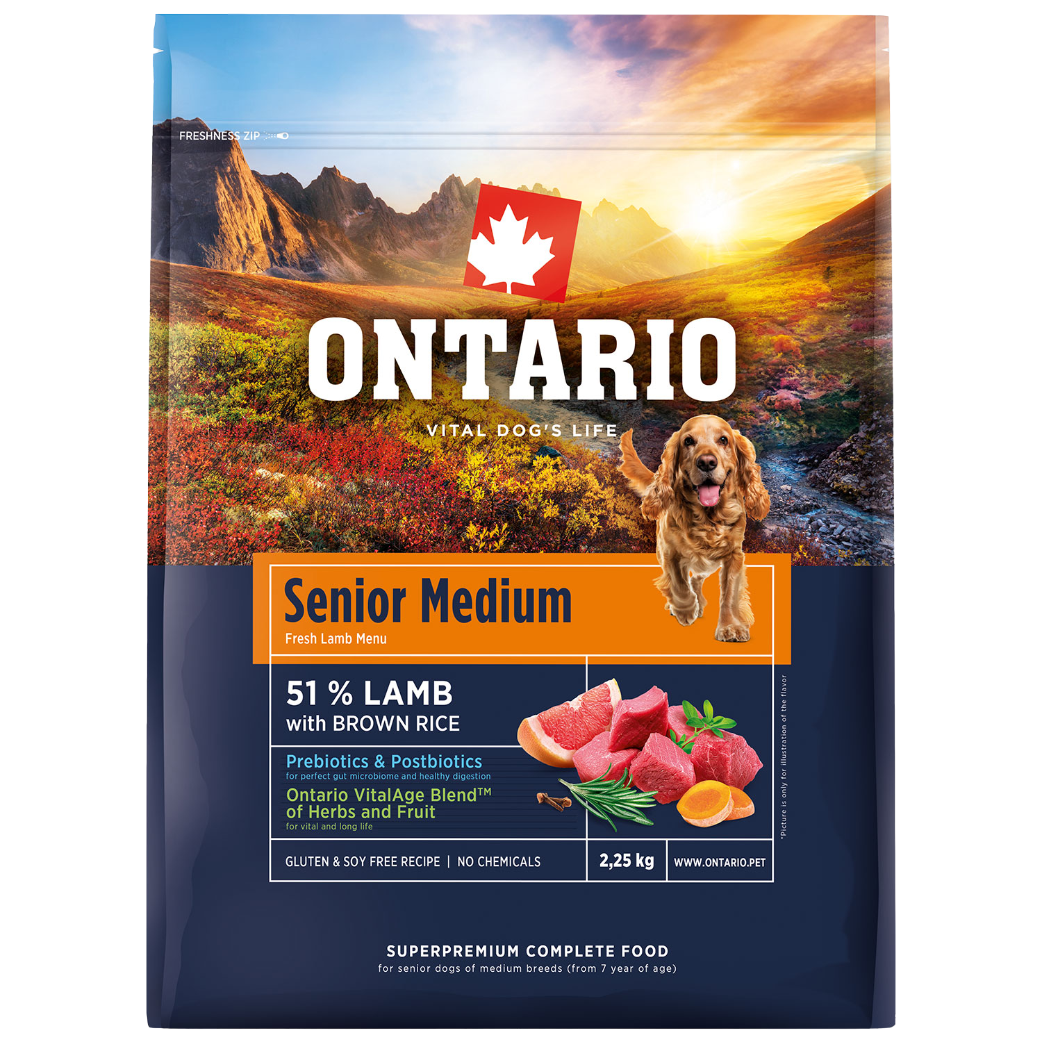 ONTARIO Krmivo Senior Medium Lamb & Brown Rice 2.25 kg