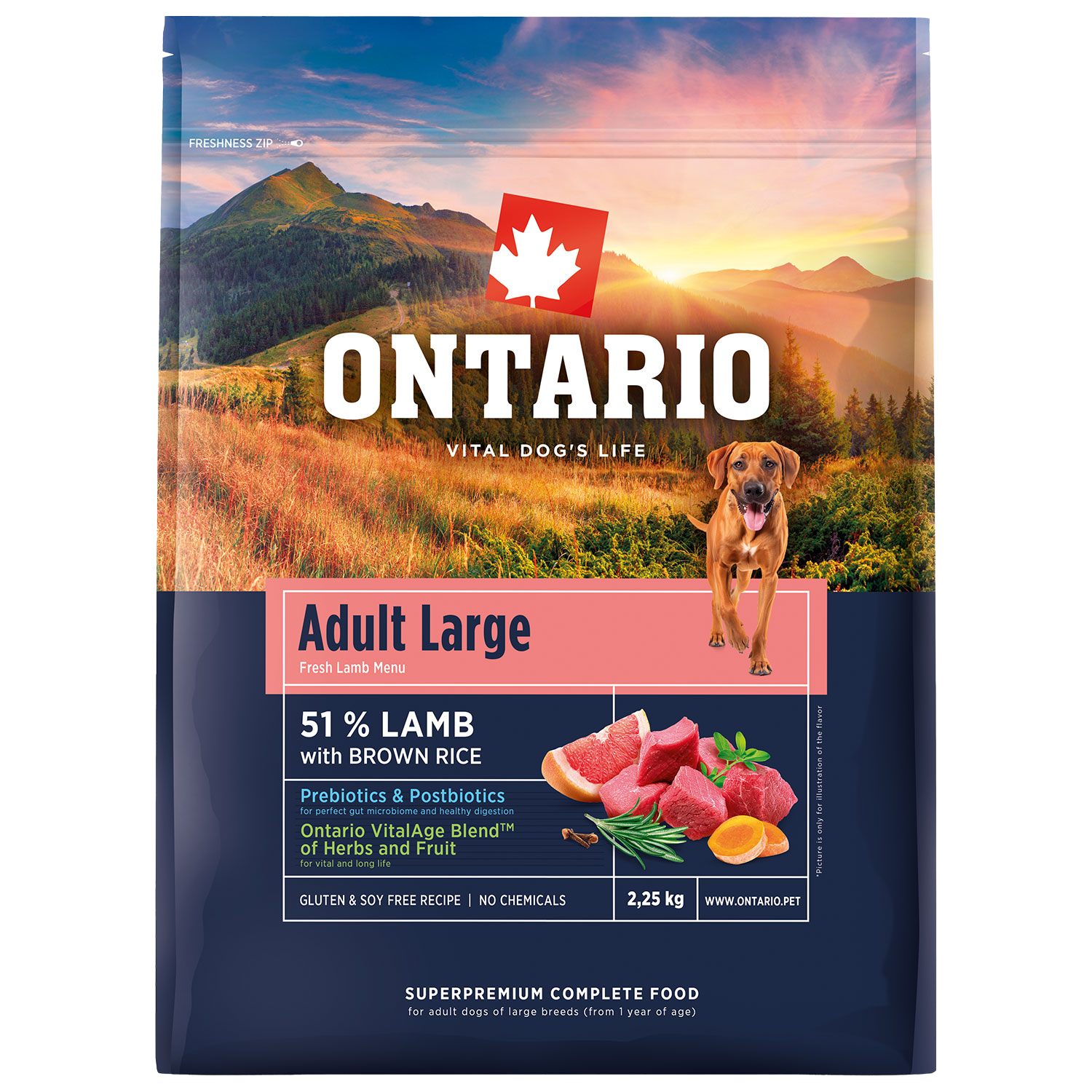 ONTARIO Krmivo Adult Large Lamb & Brown Rice 2.25 kg