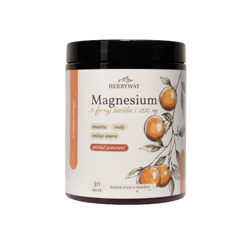 HERBYWAY Magnesium 3 formy Hořčíku 1 200 mg, příchuť pomeranč