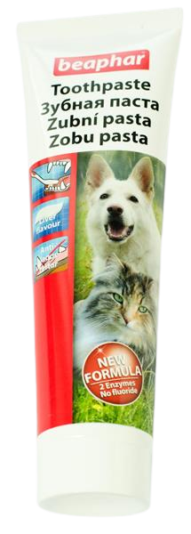 Fotografie Beaphar Zubní pasta pro psy i kočky 100 g