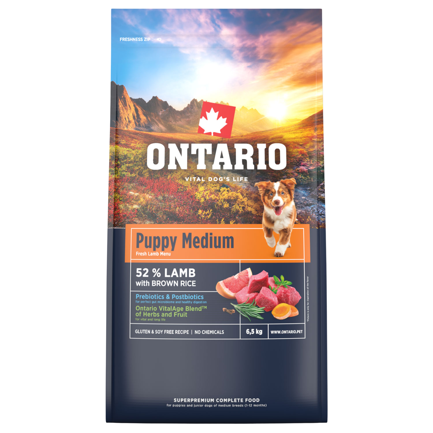 Fotografie ONTARIO Krmivo Puppy Medium Lamb & Brown Rice 6.5 kg