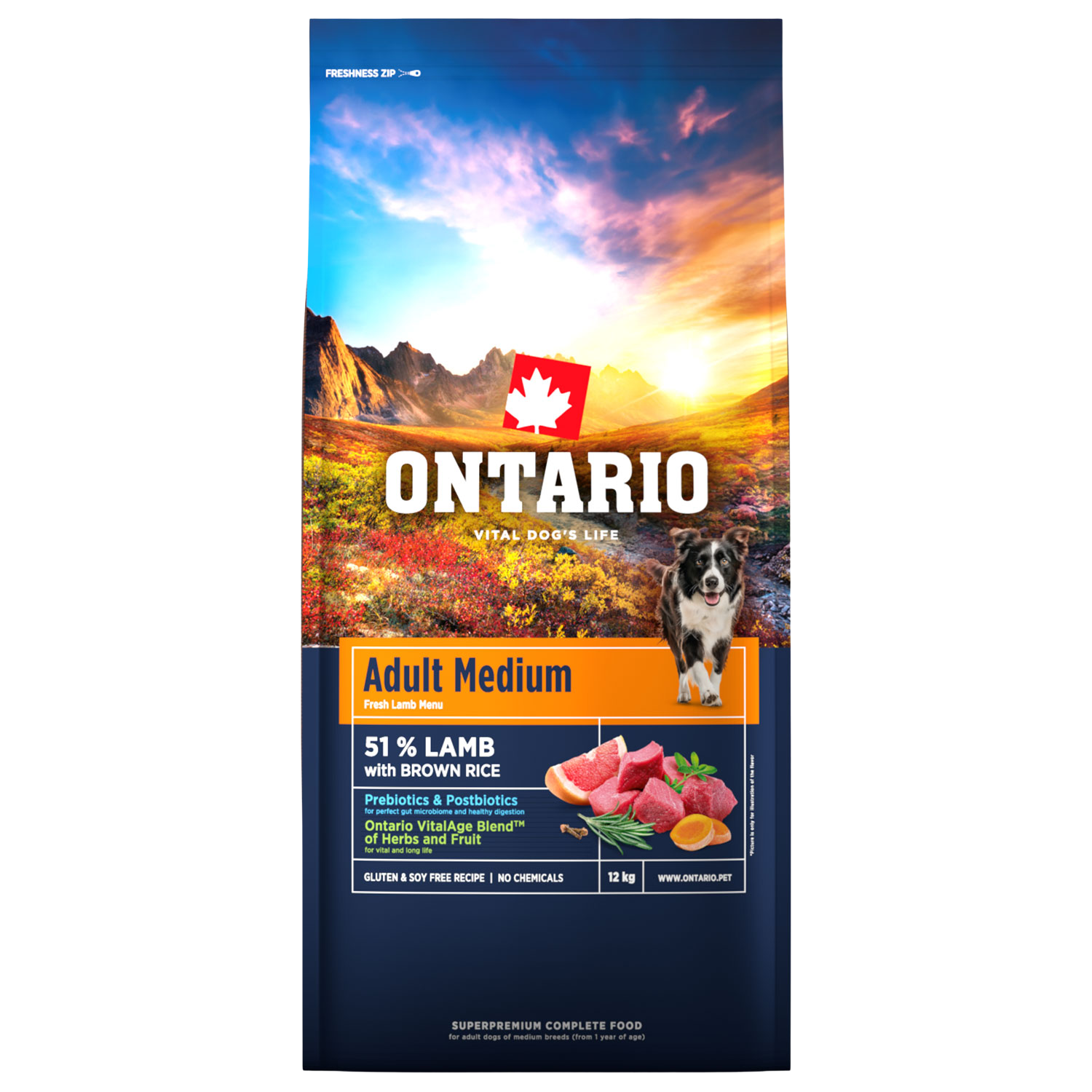 Fotografie ONTARIO Krmivo Adult Medium Lamb & Brown Rice 12 kg