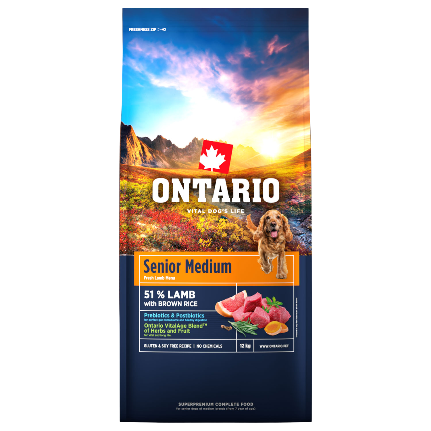 Fotografie ONTARIO Krmivo Senior Medium Lamb & Brown Rice 12 kg