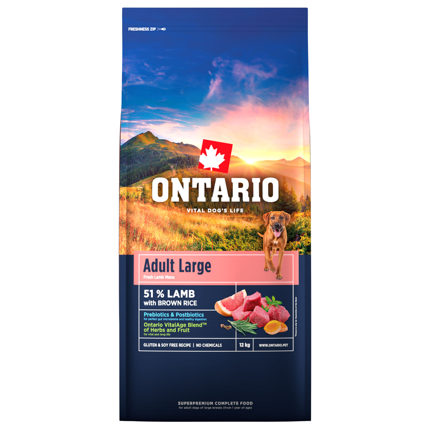 Fotografie ONTARIO Krmivo Adult Large Lamb & Brown Rice 12 kg