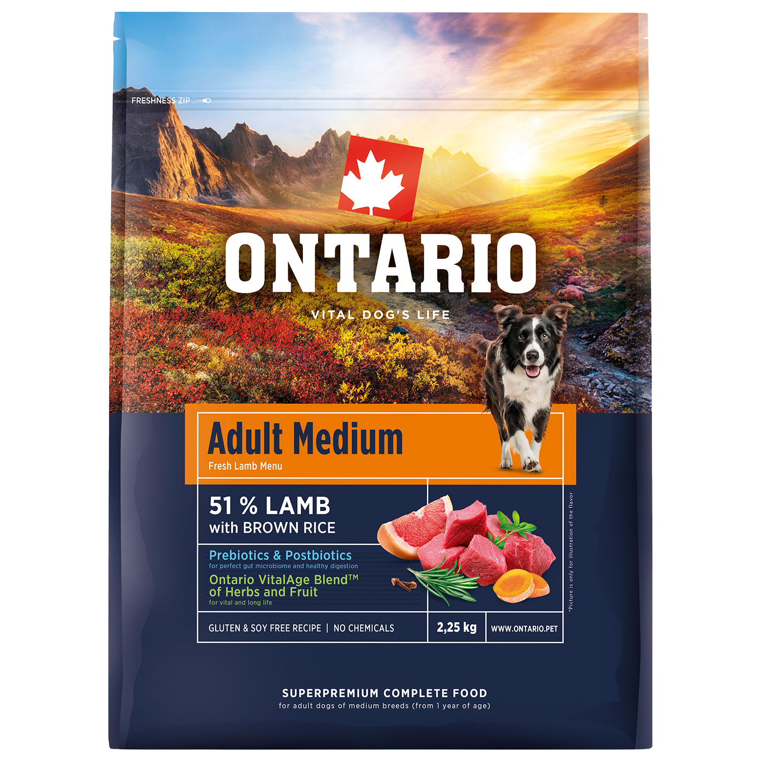 ONTARIO Krmivo Adult Medium Lamb & Brown Rice 2.25 kg