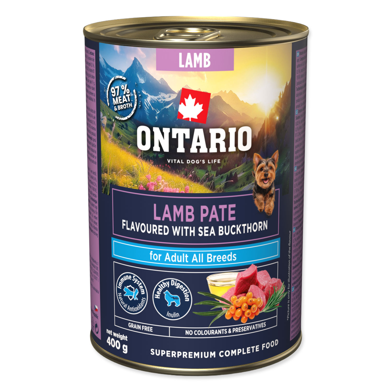 ONTARIO Konzerva Adult jehněčí pate s příchutí rakytníku 400 g
