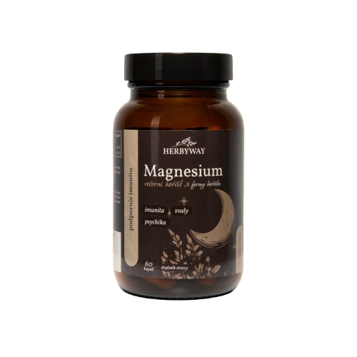 HERBYWAY Magnesium Večerní hořčík (3 formy hořčíku) 60 kapslí