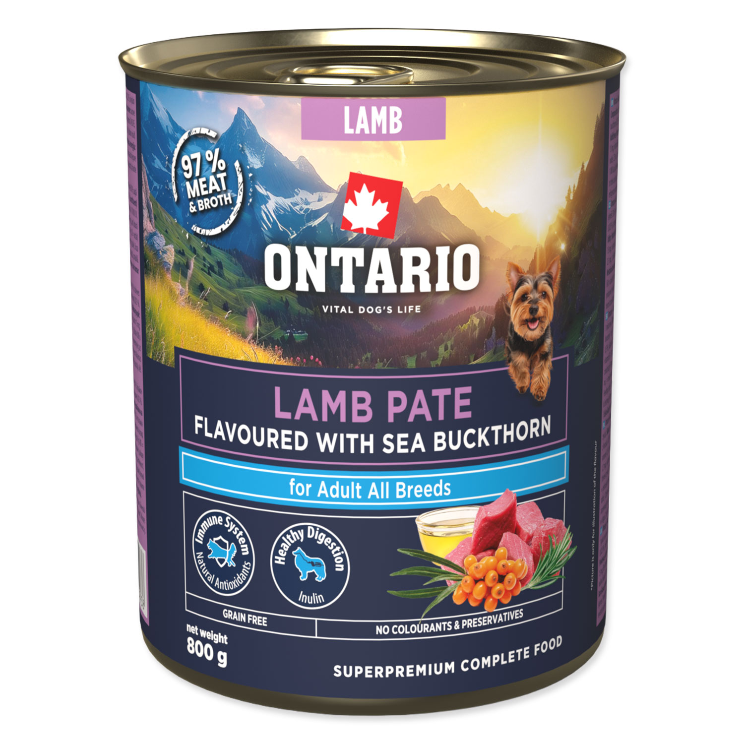Fotografie ONTARIO Konzerva Adult jehněčí pate s příchutí rakytníku 800 g