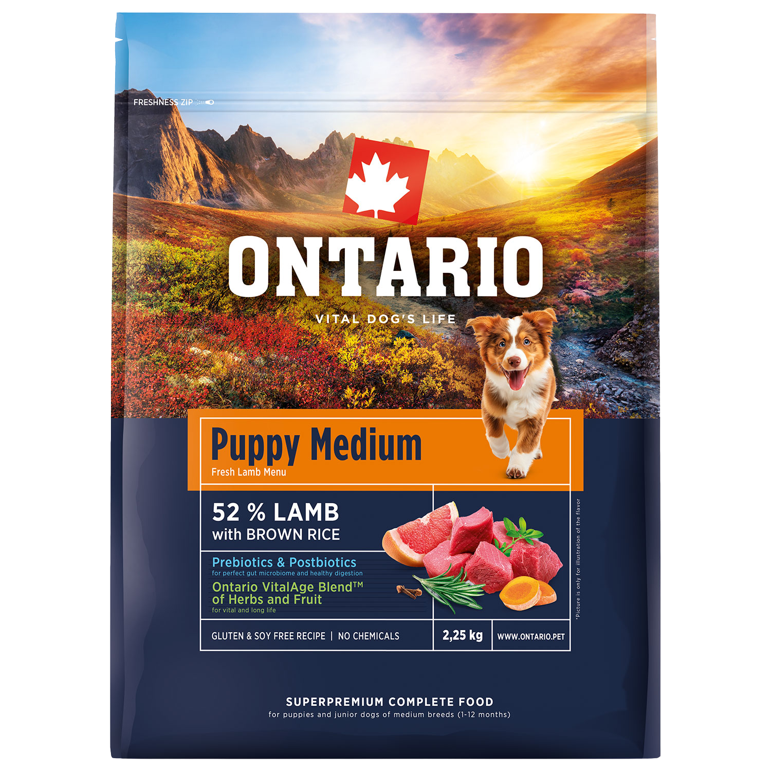 ONTARIO Krmivo Puppy Medium Lamb & Brown Rice 2.25 kg