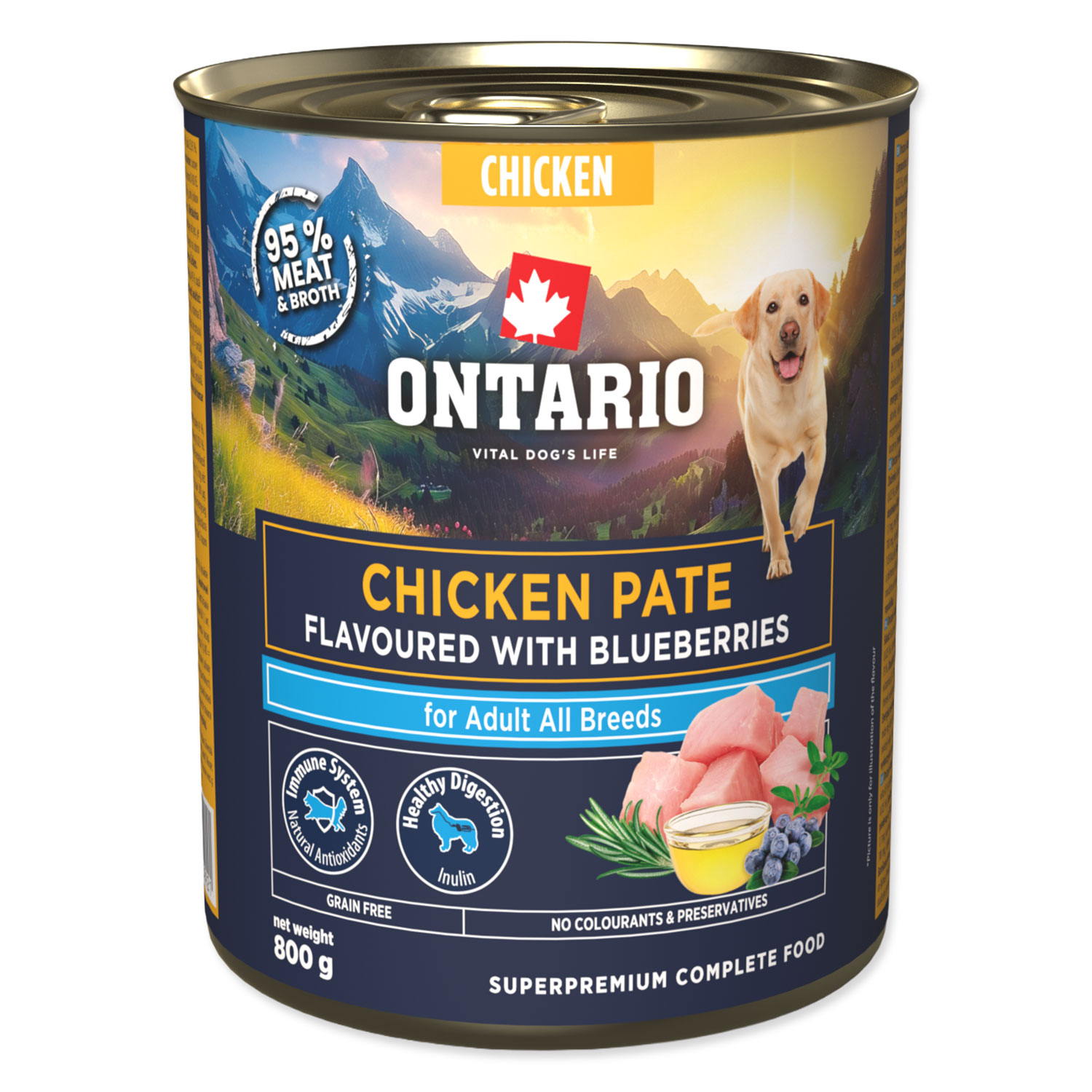 Fotografie ONTARIO Konzerva Adult kuřecí pate s příchutí borůvek 800 g