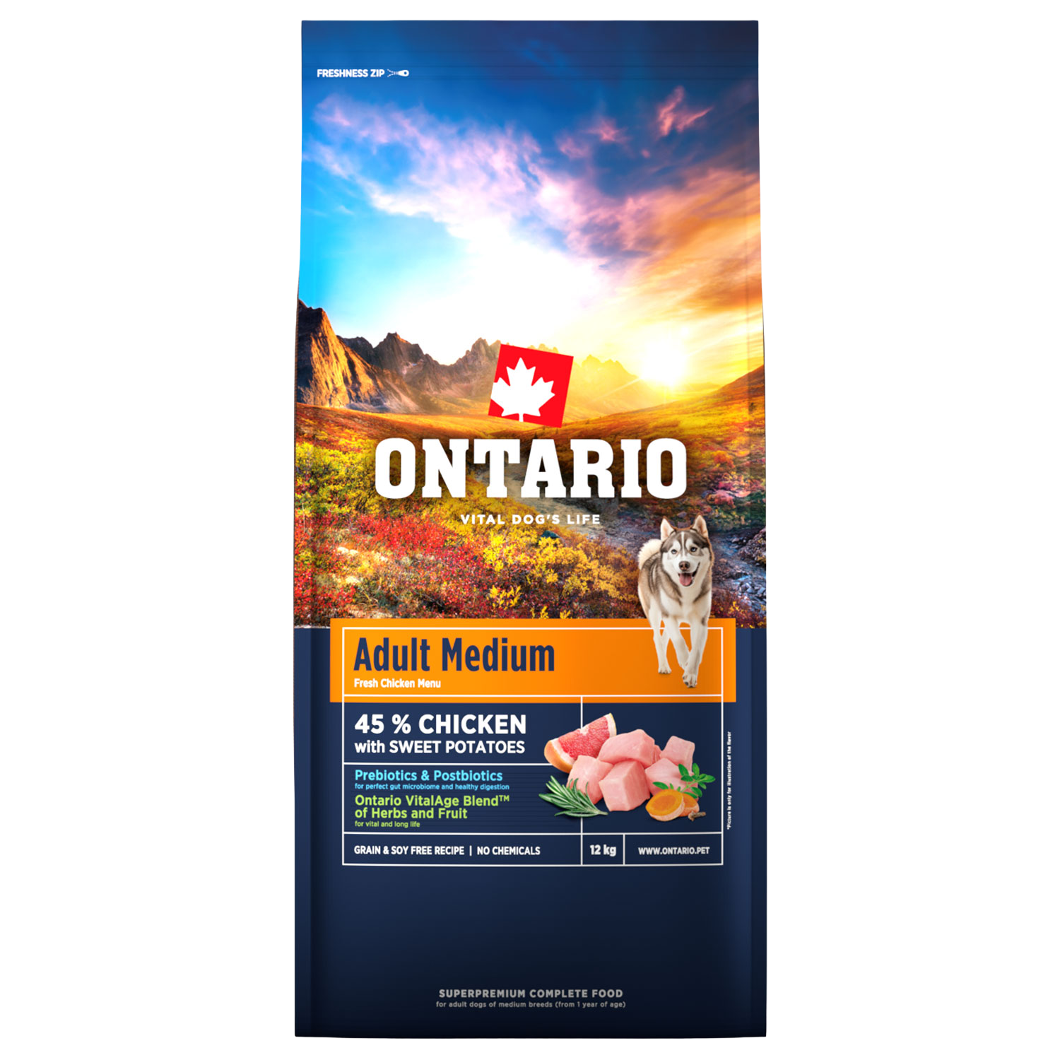 Fotografie ONTARIO Krmivo Adult Medium Chicken & Sweet Potatoes 12 kg