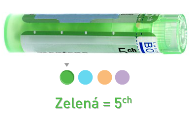 BOIRON Aloe socotrina CH5 4 g