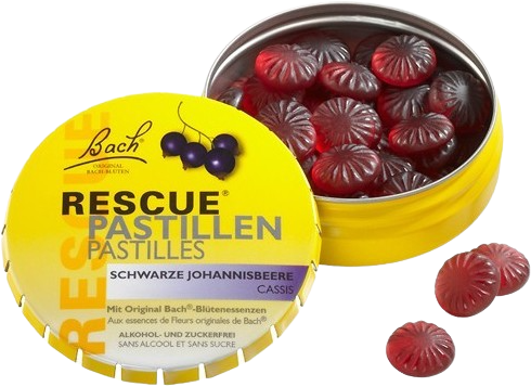 Dr. Bach pastilky ríbezľové 50 g