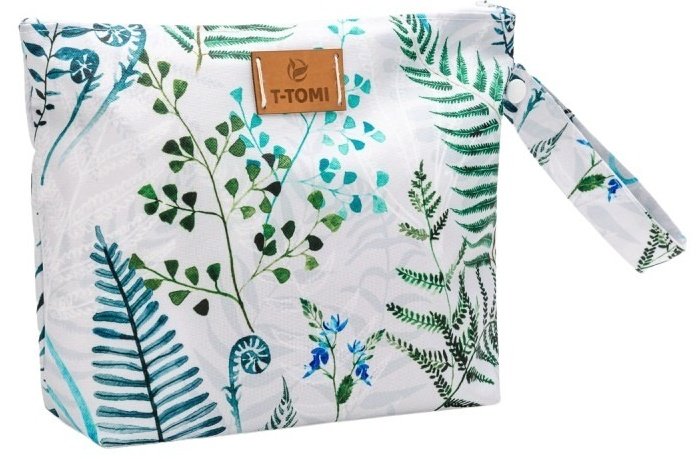 Fern