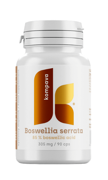 Fotografie KOMPAVA Boswellia serrata 305 mg 90 kapslí