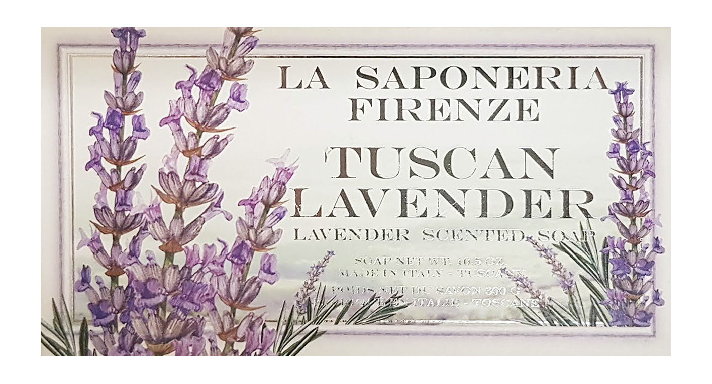 Toskánska levanduľa