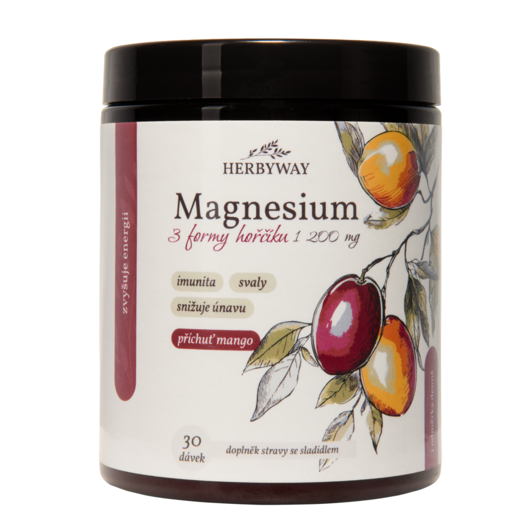 Herbyway Magnesium 3 formy hořčíku 1 200 mg 170 g